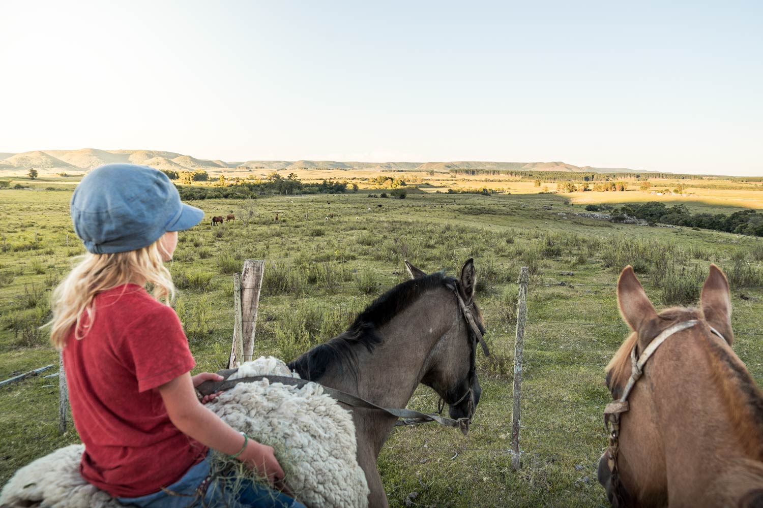 LIFE-for-FIVE-Van Life- Mädchen blickt auf dem Rücken eines Pferdes in die Ferne der Landschaft Uruguays